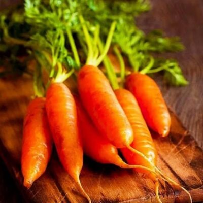 بذور جزر حلو للاطفال