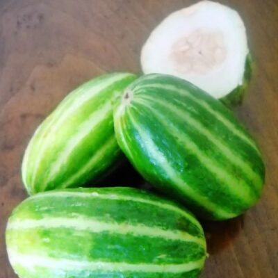 شمام دائري جرافينا