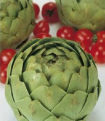 خرشوف الكرة الأرضية الخضراء