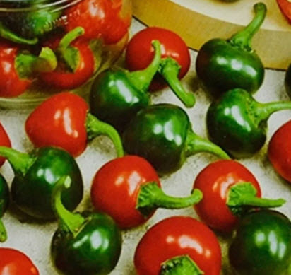 بذور فلفل حار احمر كرزي