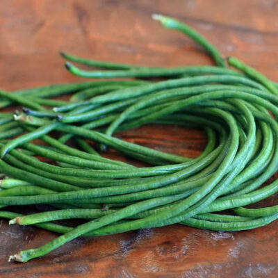 بذور فاصوليا فيجنا