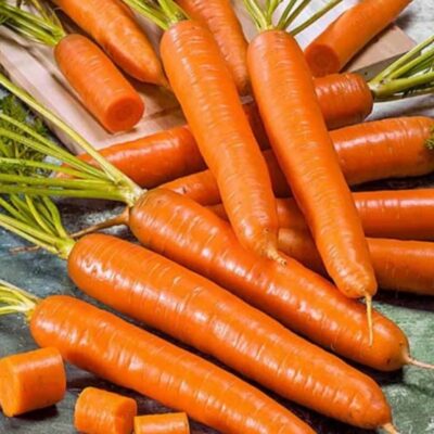 بذور جزر اميستردام