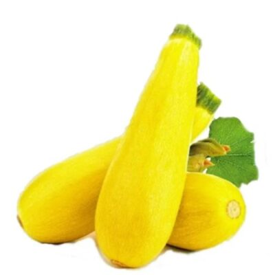 بذور كوسه زولوتينكا