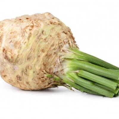 بذور كرفس بيانكو دي فيرونا