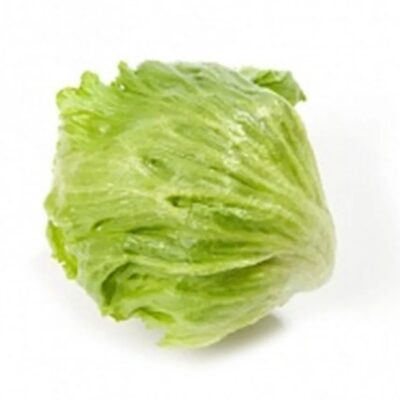 Iceberg Lettuce Crisp