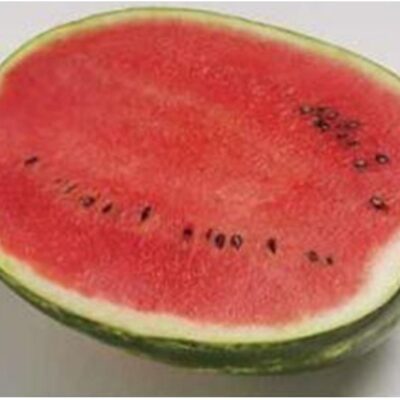 بذور بطيخ قمة البندقية F1