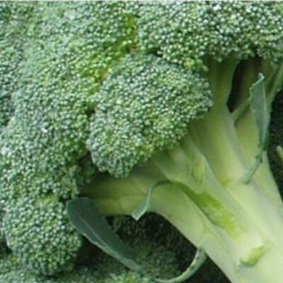 بذور بروكلي فيتامين