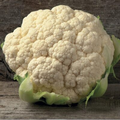 بذور قرنبيط نابوليتان جيناريز