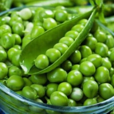 بذور بازلاء هيتمان