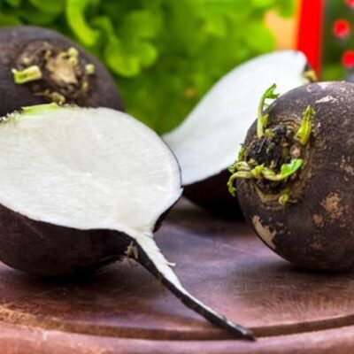 بذور فجل الشتاء الاسود