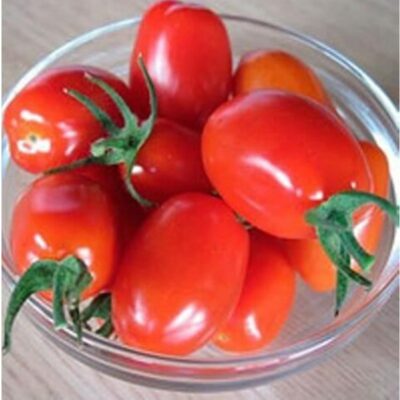 بذور طماطم ناميبي F1