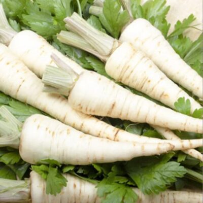 جذر البقدونس خاركوفشانكا