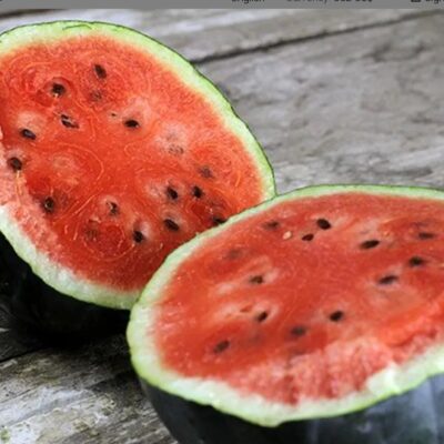 بطيخ روزاريو F1