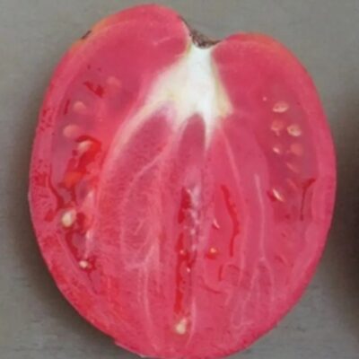 طماطم التشكا