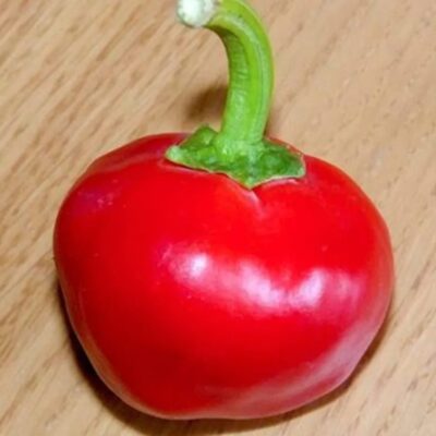 فلفل حار كابيرينو تشيلي