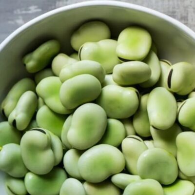 فول يانكيل الابيض