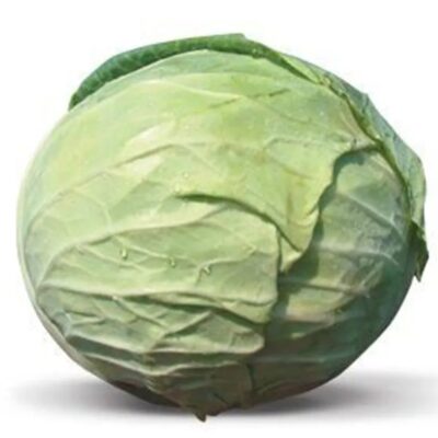 ملفوف كيفن F1