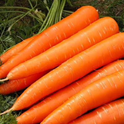 جزر ملكة الخريف