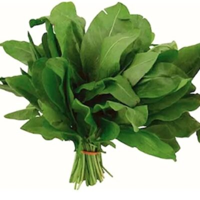 Sorrel leaf broad