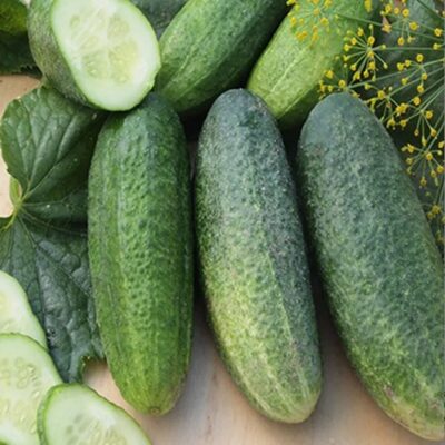 خيار مارسيل F1