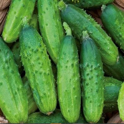 خيار نايس F1