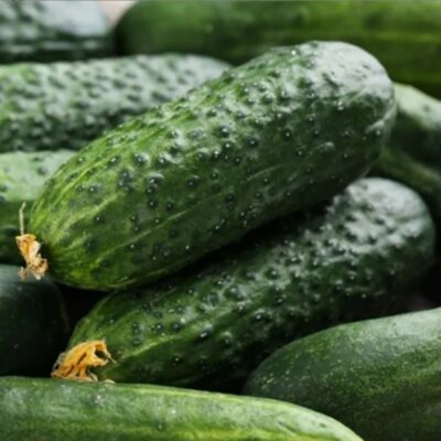 خيار شريف F1