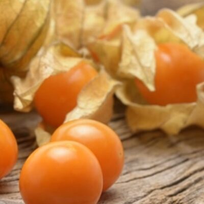 حرنكش برتقالي