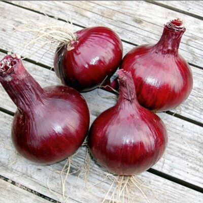 بصل برونزويك