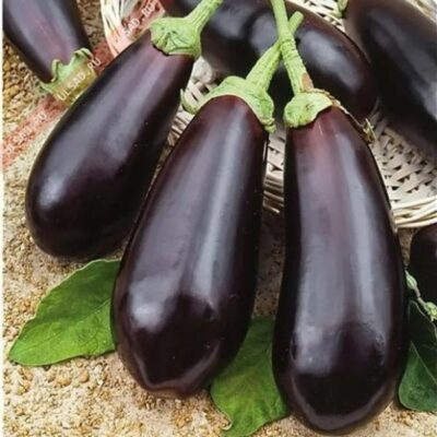 باذنجان دايموند