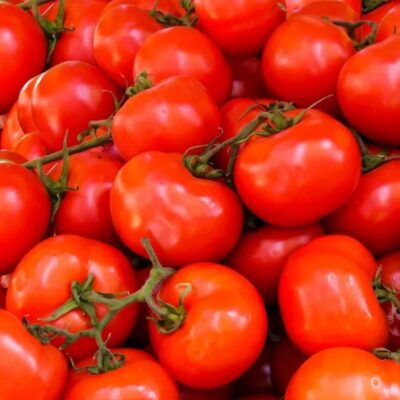 طماطم هاينز 1706