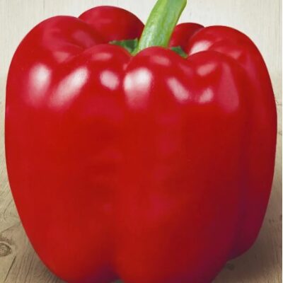 فلفل حلو كاليفورنيا hgمعجزة الاحمر