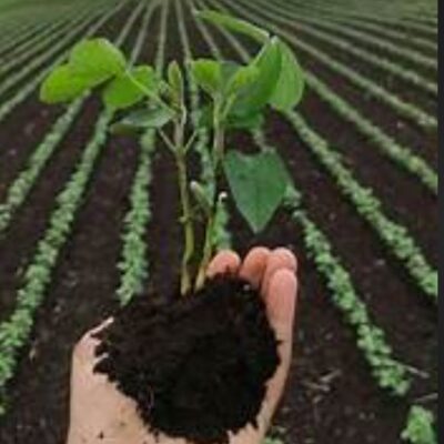 استشارة زراعية