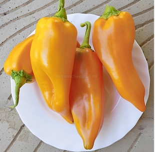 فلفل حلو كارباثيا