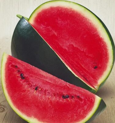 بطيخ ضوء الشمال