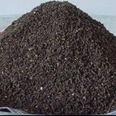 فيرمي كومبوست