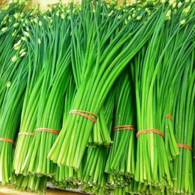 بصل اخضر عطري