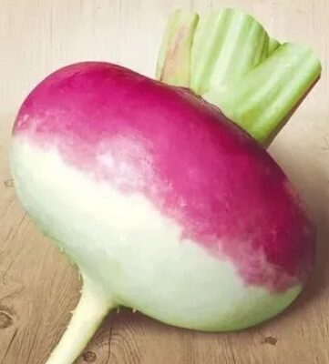 لفت الارجواني