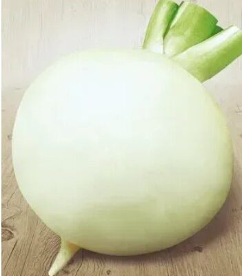 لفت الكرة البيضاء الثلجي