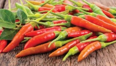 فلفل حار عنقودي F1