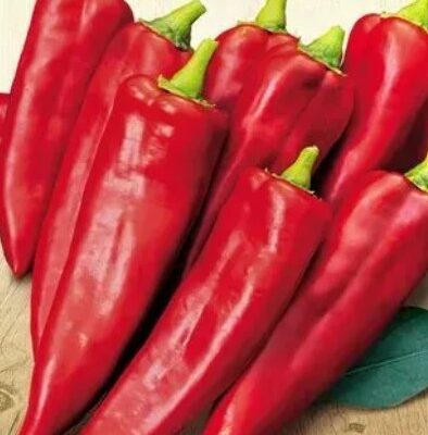 فلفل حار اوكراني