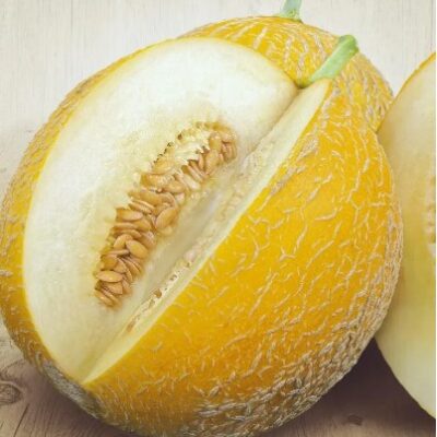 شمام تيتوفكا