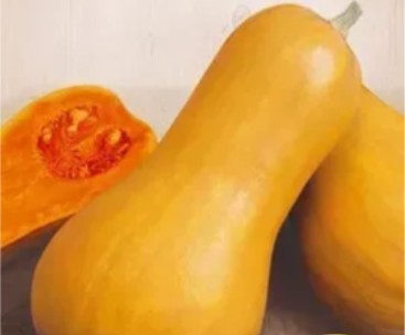 قرع جوزة الطيب طويل