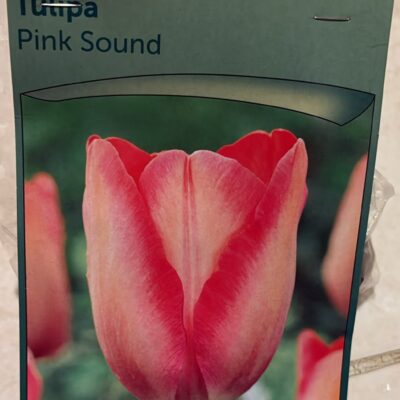 pink sound