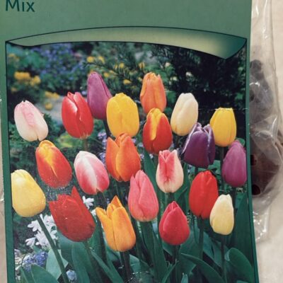 tulip_mix